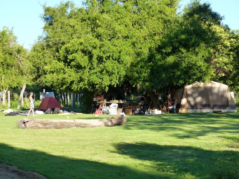 Camping 